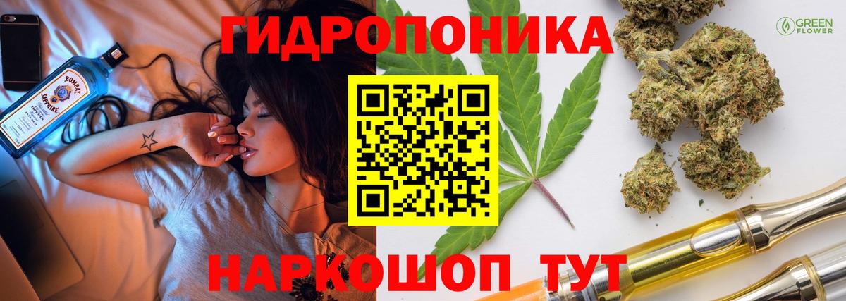 Каннабис планчик  Бошки марихуана марихуана  Канабис тримм  Владикавказ  Вход с VPN 